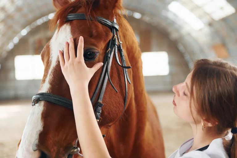 Tierärztin legt liebevoll ihre Hand auf das Gesicht eines Pferdes in einer Reithalle.