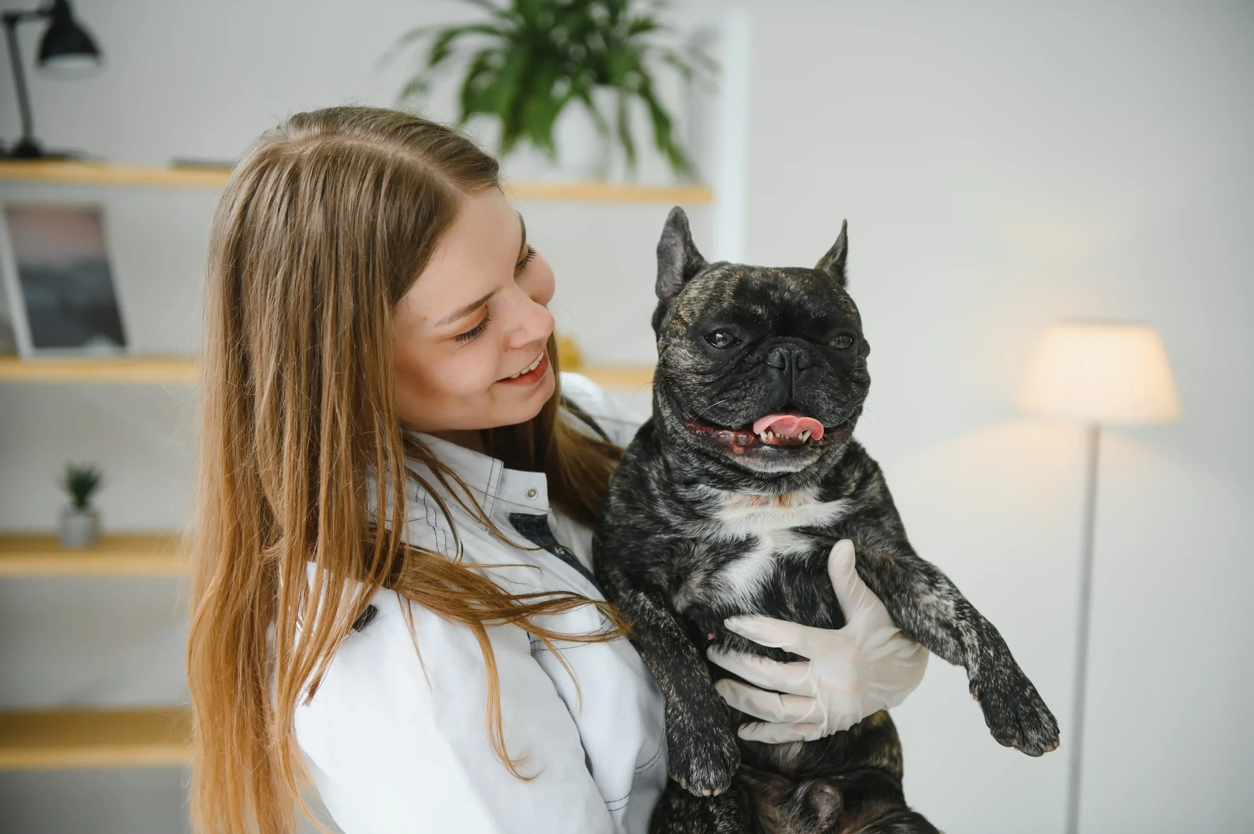 Veterinärmedizin bei baummedical